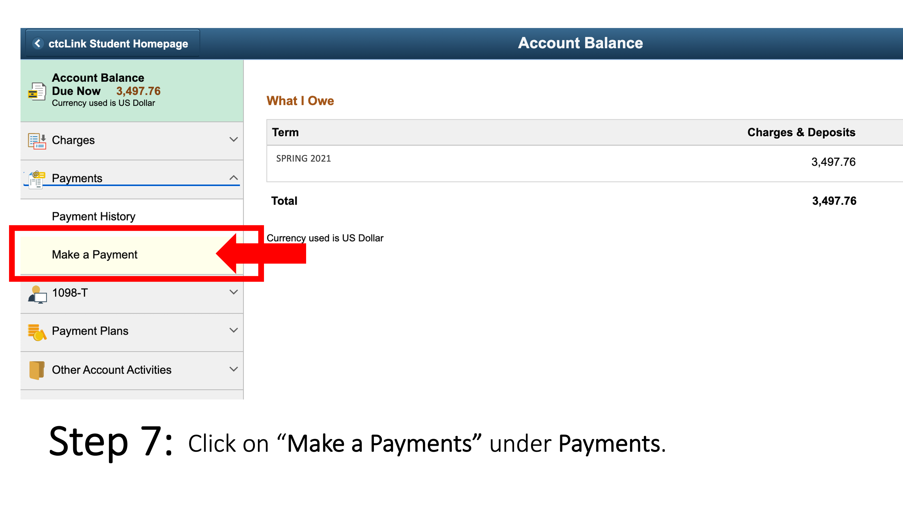  Click on “Make a Payments” under Payments.
