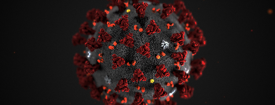  microscopic view of coronavirus 