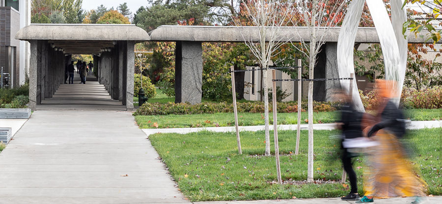  students walking outdoors 