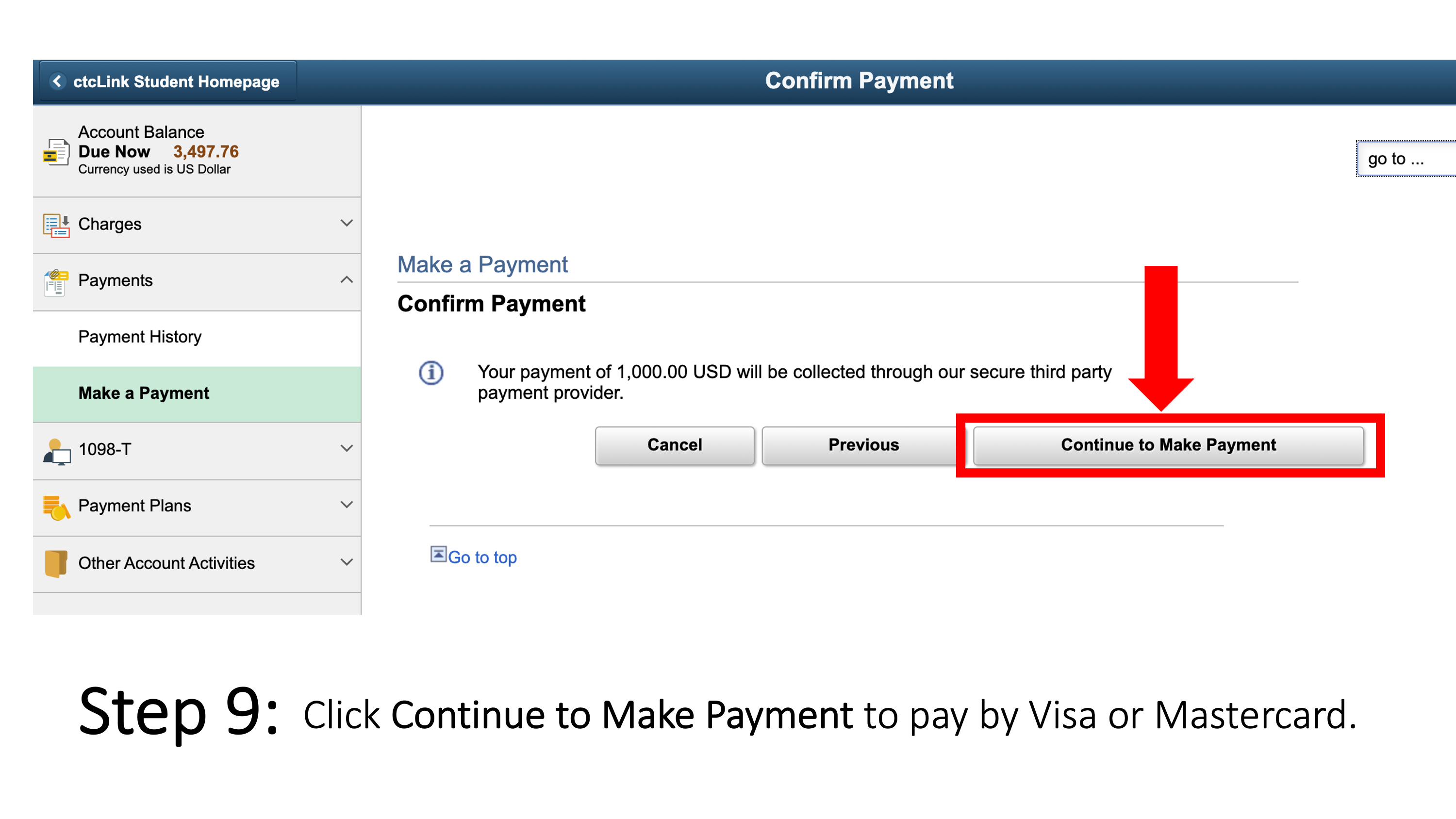 Click Continue to Make Payment to pay by Visa or Mastercard.