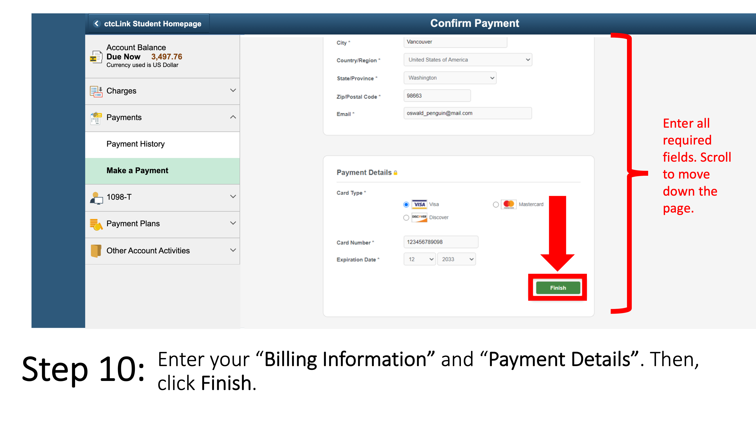 Enter your “Billing Information” and “Payment Details”. Then, click Finish.