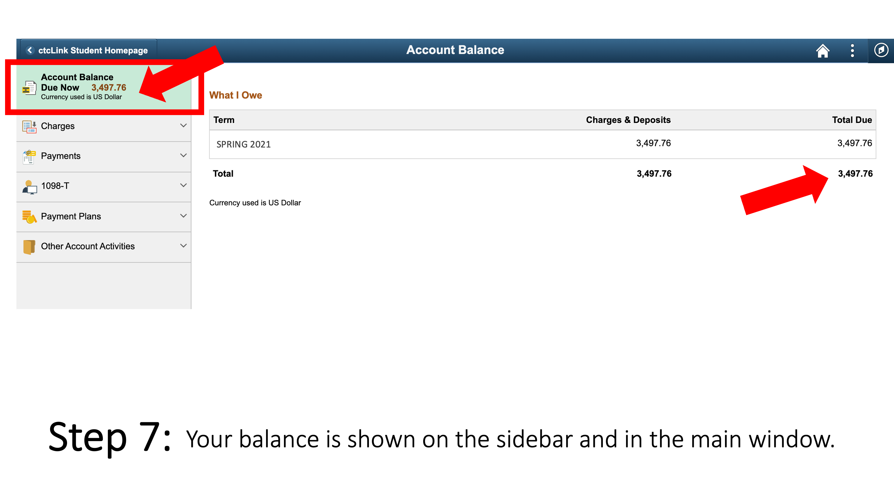 Your balance is shown on the sidebar and in the main window.