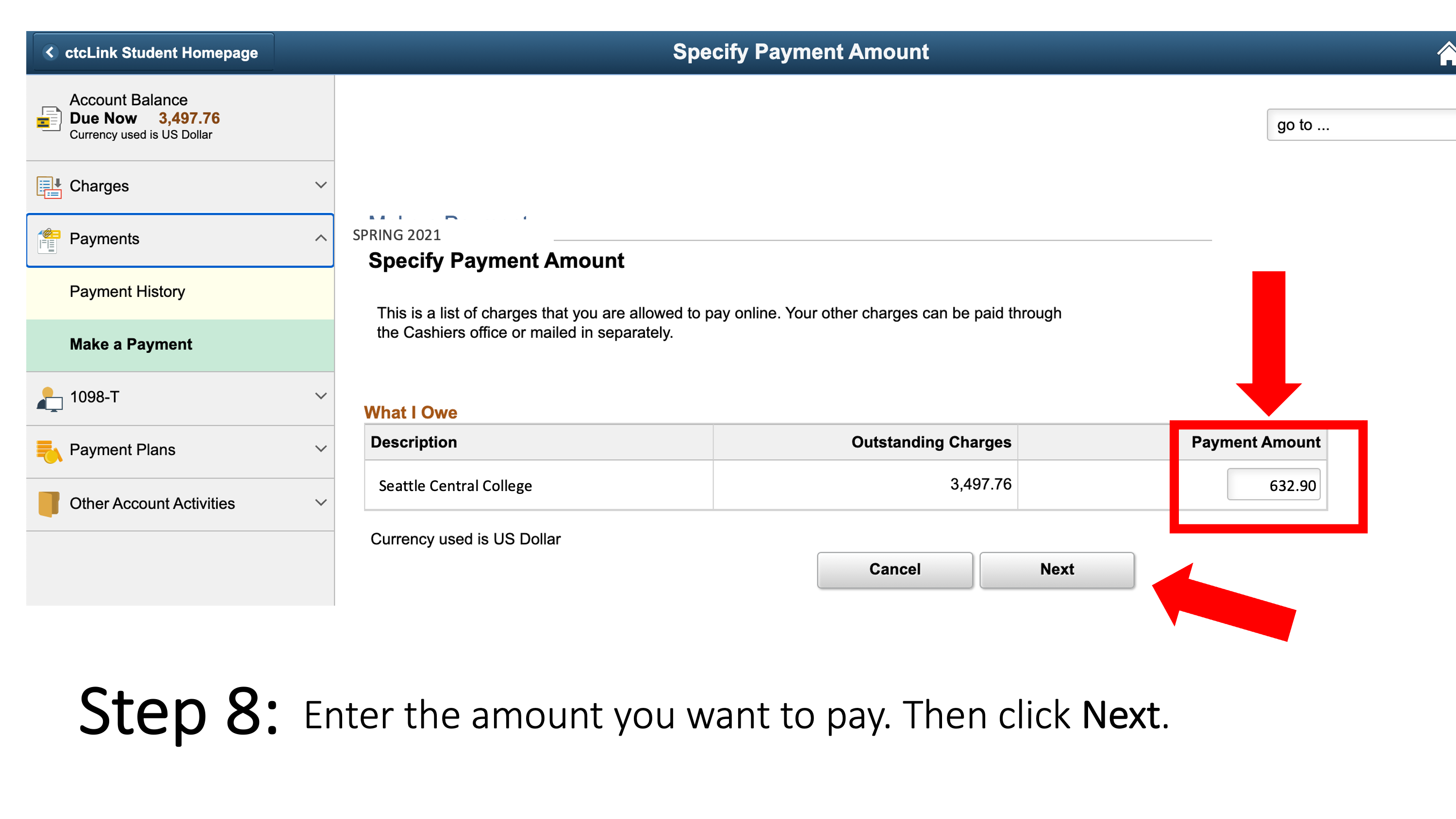 Enter the amount you want to pay. Then click Next.