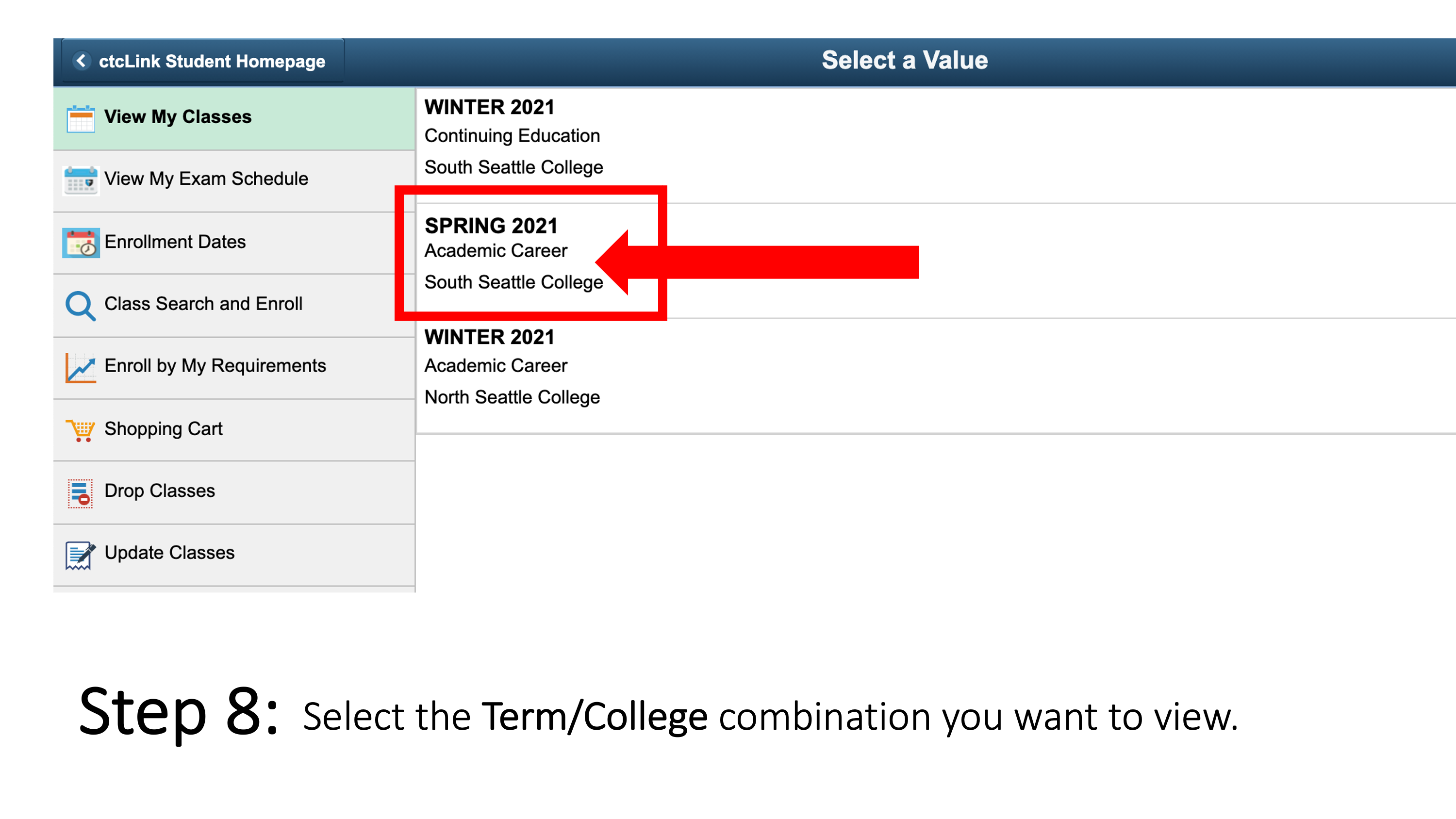 Select the Term/College combination you want to view.