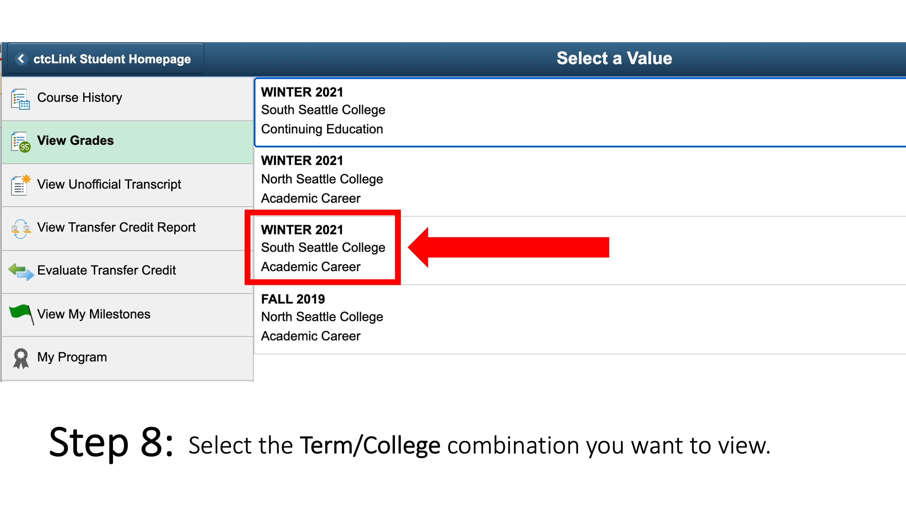 Select the Term/College combination you want to view.