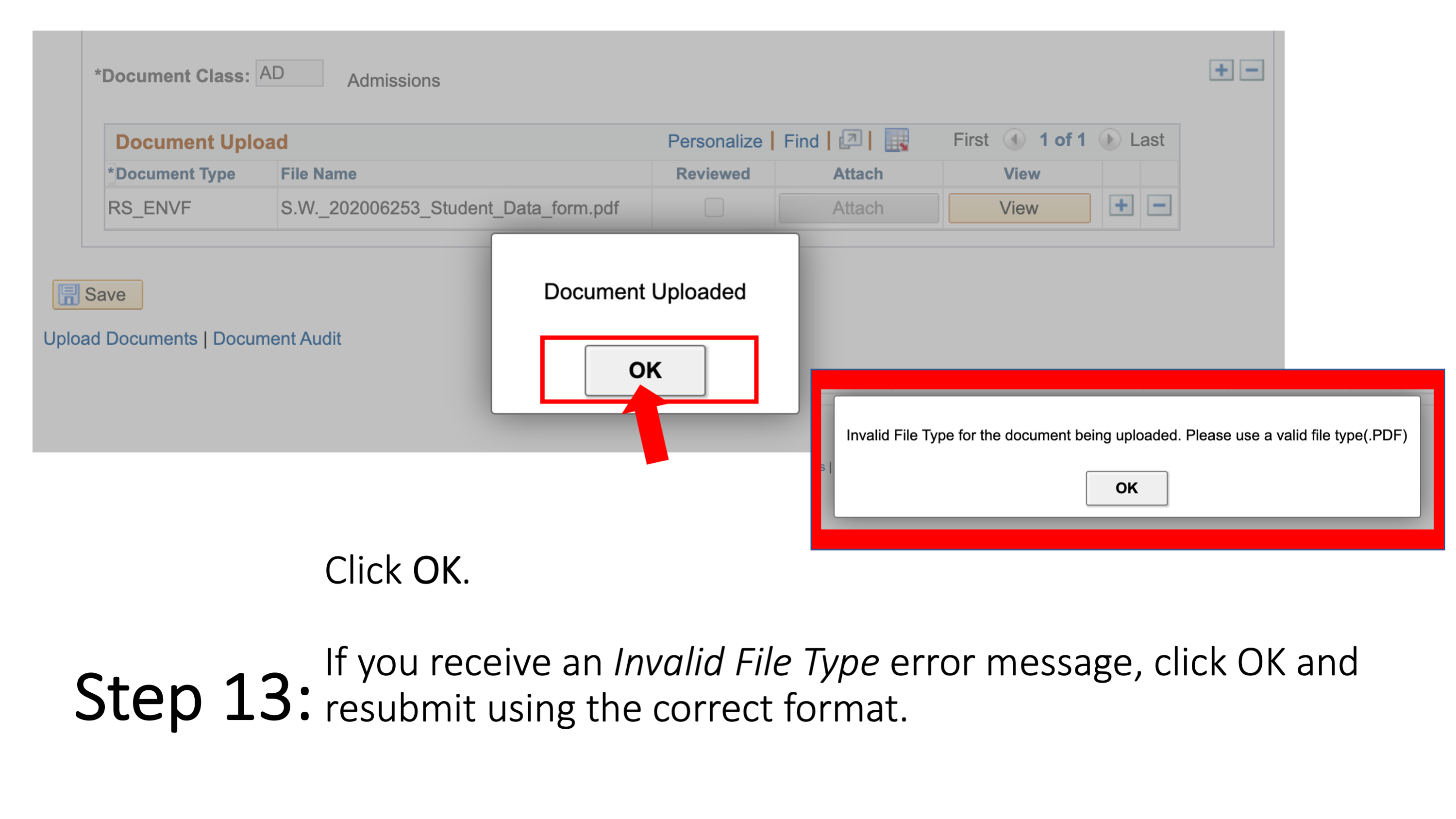 Slide 14 - Step 13: Click OK. If you receive an Invalid File Type error message, click OK and resubmit using the correct format. 