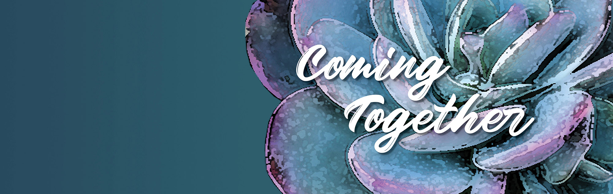  Coming Together - background image of a succulent plant 