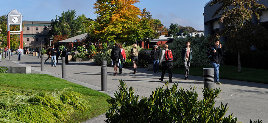  Students walking on the sidewalks outside campus buildings at South. 