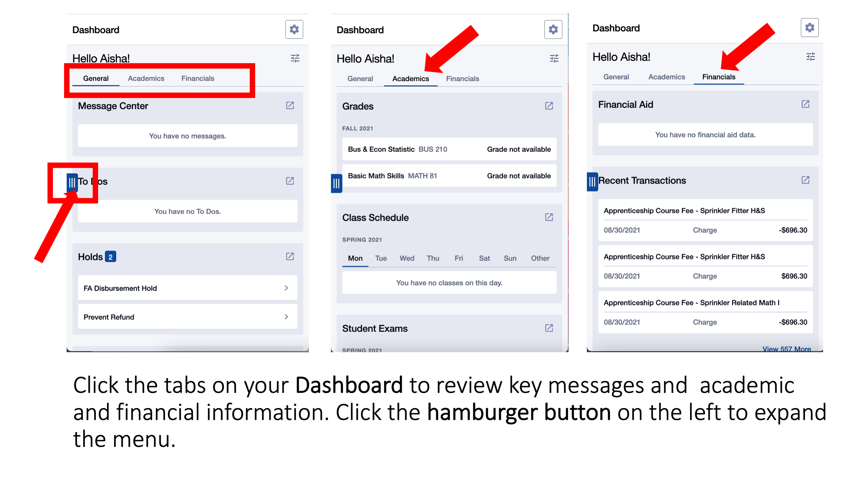 Click the tabs on your Dashboard to review key messages and  academic and financial information. Click the hamburger button on the left to expand the menu. 