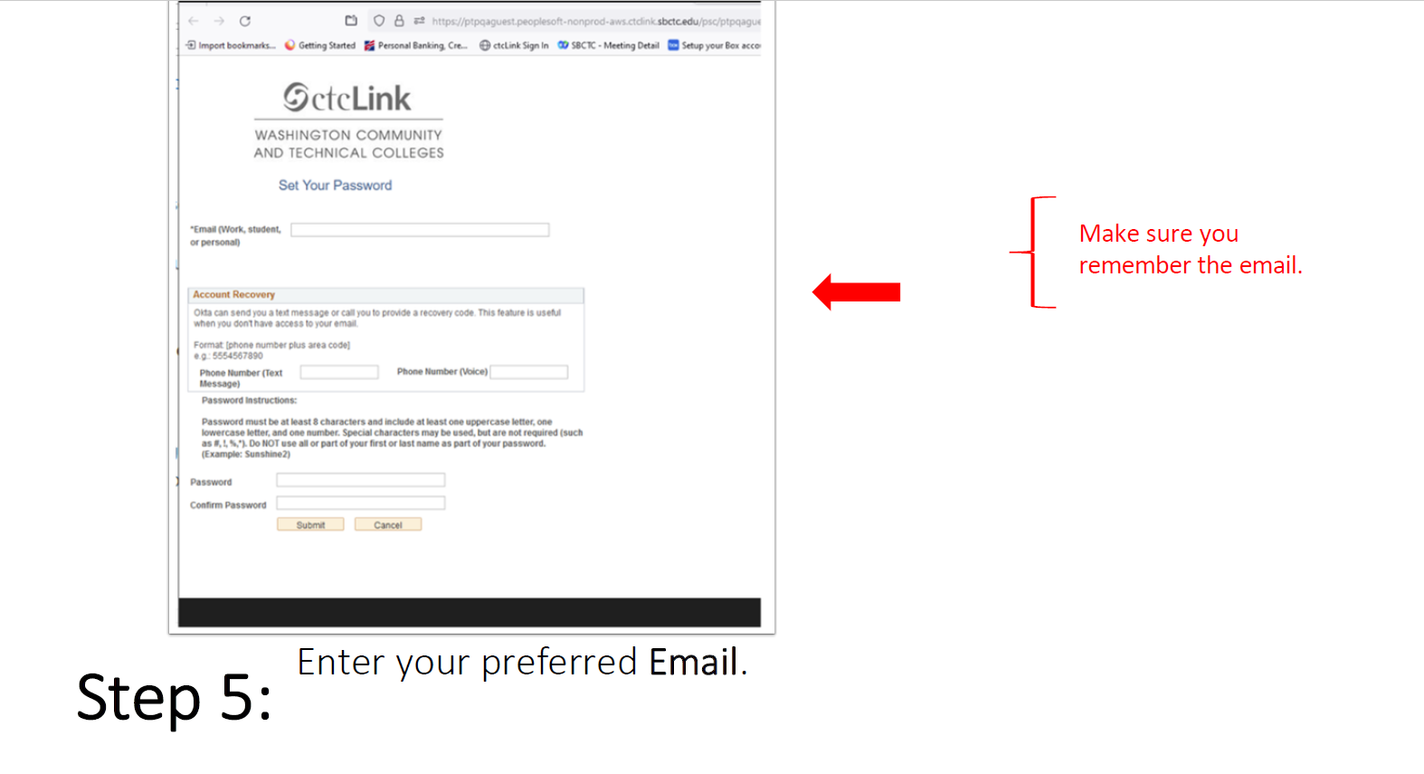 Step 5: Enter your preferred Email. Make sure you remember that email. Write it down if needed.