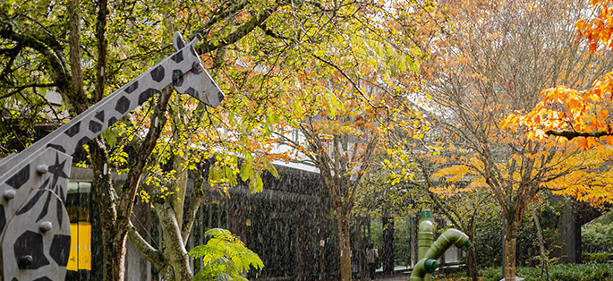 North Seattle courtyard in the Fall