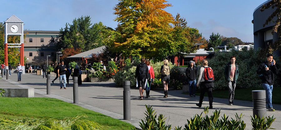 students walking along the sidewalk on the South Seattle College campus