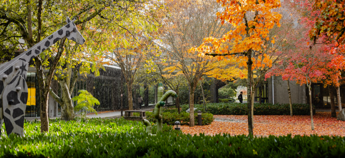 Seattle Colleges District