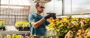 A person holding a pot of small plants in the Garden Center greenhouse