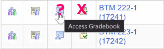 screen shot of access gradebook options