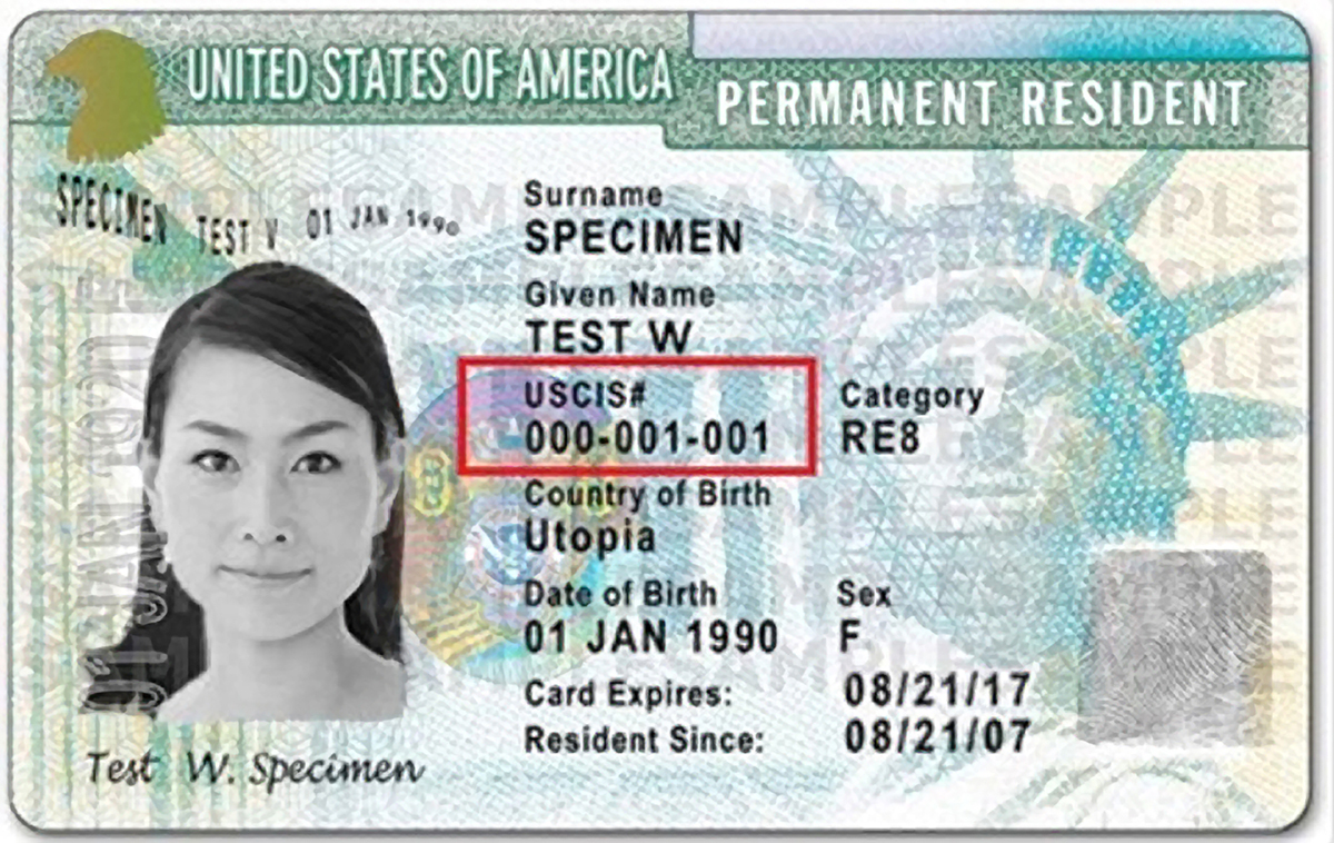 Permanent Resident Card example