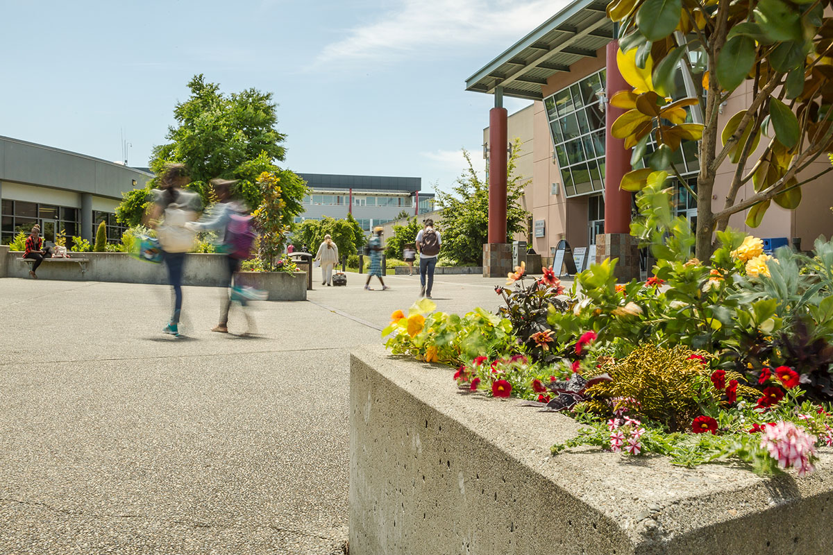 South exterior students walking on campus