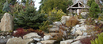 Arboretum at South Seattle College - plants and trees